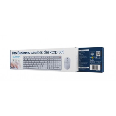 Tastatura si Mouse Wireless Gembird KBS-WMS-01-W-CYRL, White