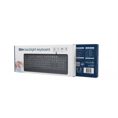 Tastatura subtire Gembird KB-UML-04-CYRL/ USB A+C/ Black