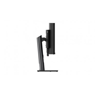 49.0&rdquo; Monitor Lenovo ThinkVision P49w-30 /UltraWide/ Curved/ 32:9