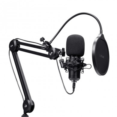 Microfon de streaming cu brat reglabil Trust GXT 270 Emita II+/ USB A-С