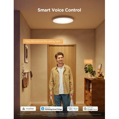 Lampa Smart de tavan GOVEE Round 12&rdquo; RGBWW + RGBIC