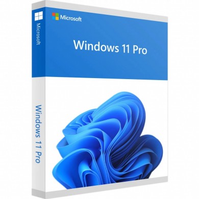 Windows 11 Pro 64Bit Eng Intl 1pk DSP OEI DVD
