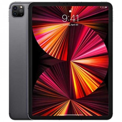 Apple iPad Pro 11 (2021) / 8GB RAM / 256GB / WiFi / Grey