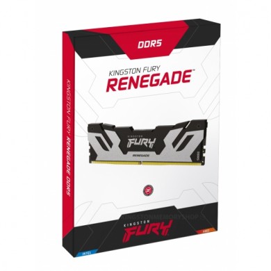 Memorie operativa Kingston FURY&reg; Renegade Silver DDR5-6000 16GB