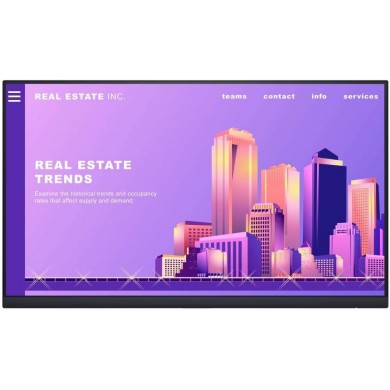 23.8” Monitor DELL P2422H / 5ms / FHD / Black/Silver