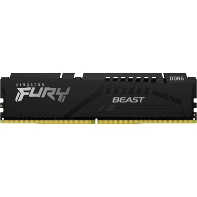 Memorie operativa Kingston FURY Beast EXPO DDR5 5600 MHz 16GB