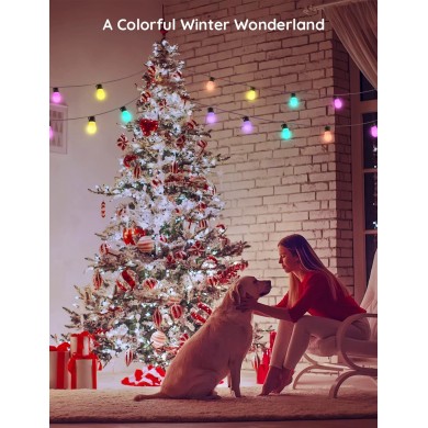 Banda LED de exterior GOVEE RGBIC Smart Outdoor String Lights 15m, 15 Light Bulbs Banda LED de exterior GOVEE RGBIC Smart Outdoor String Lights 15m, 15 Light Bulbs